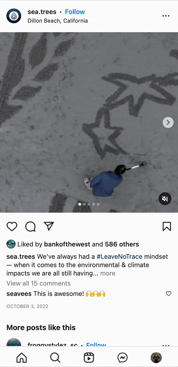 A screenshot of a @see.trees Instagram post