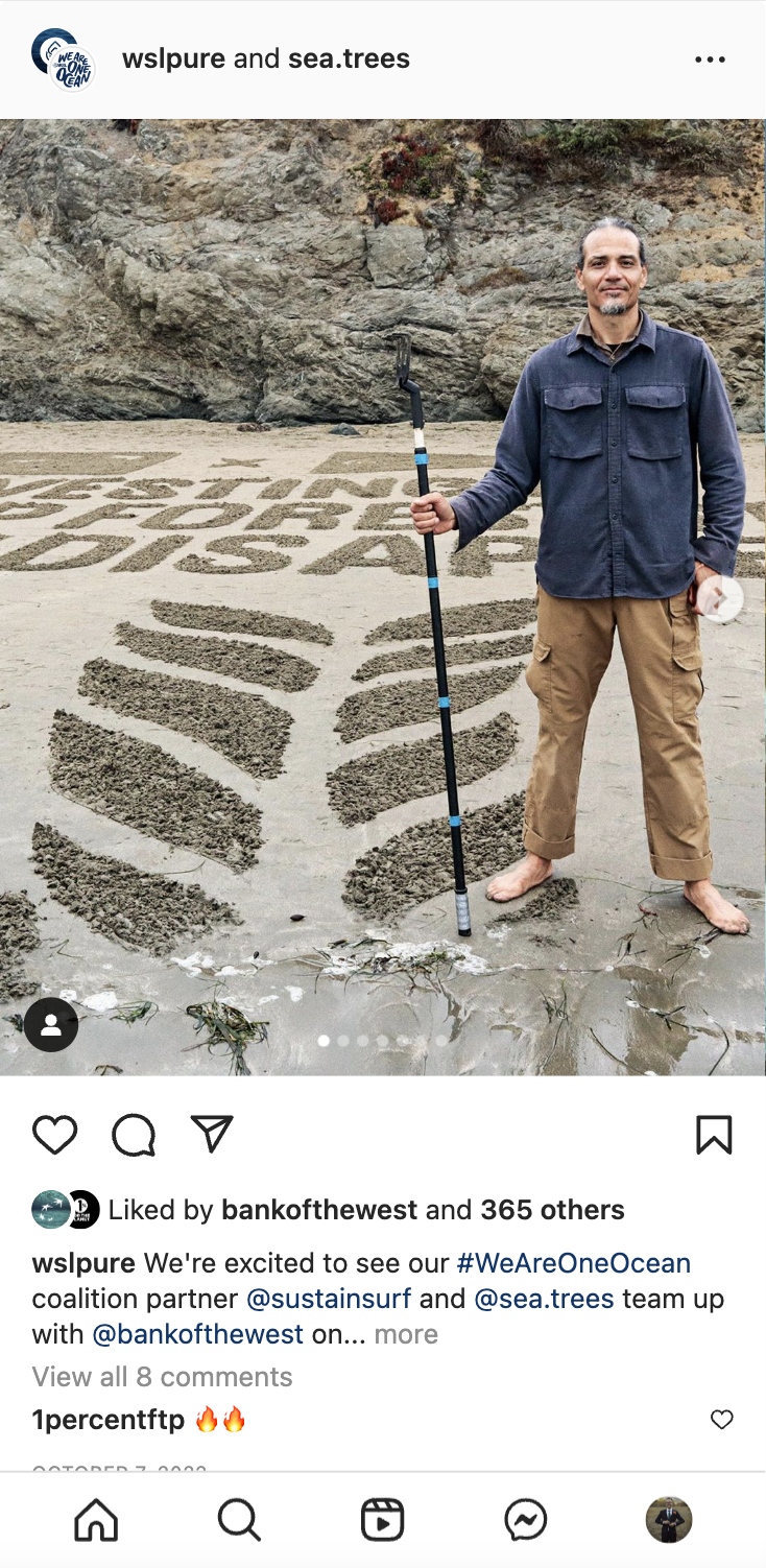 A screenshot of a @wslpure and @see.trees Instagram post