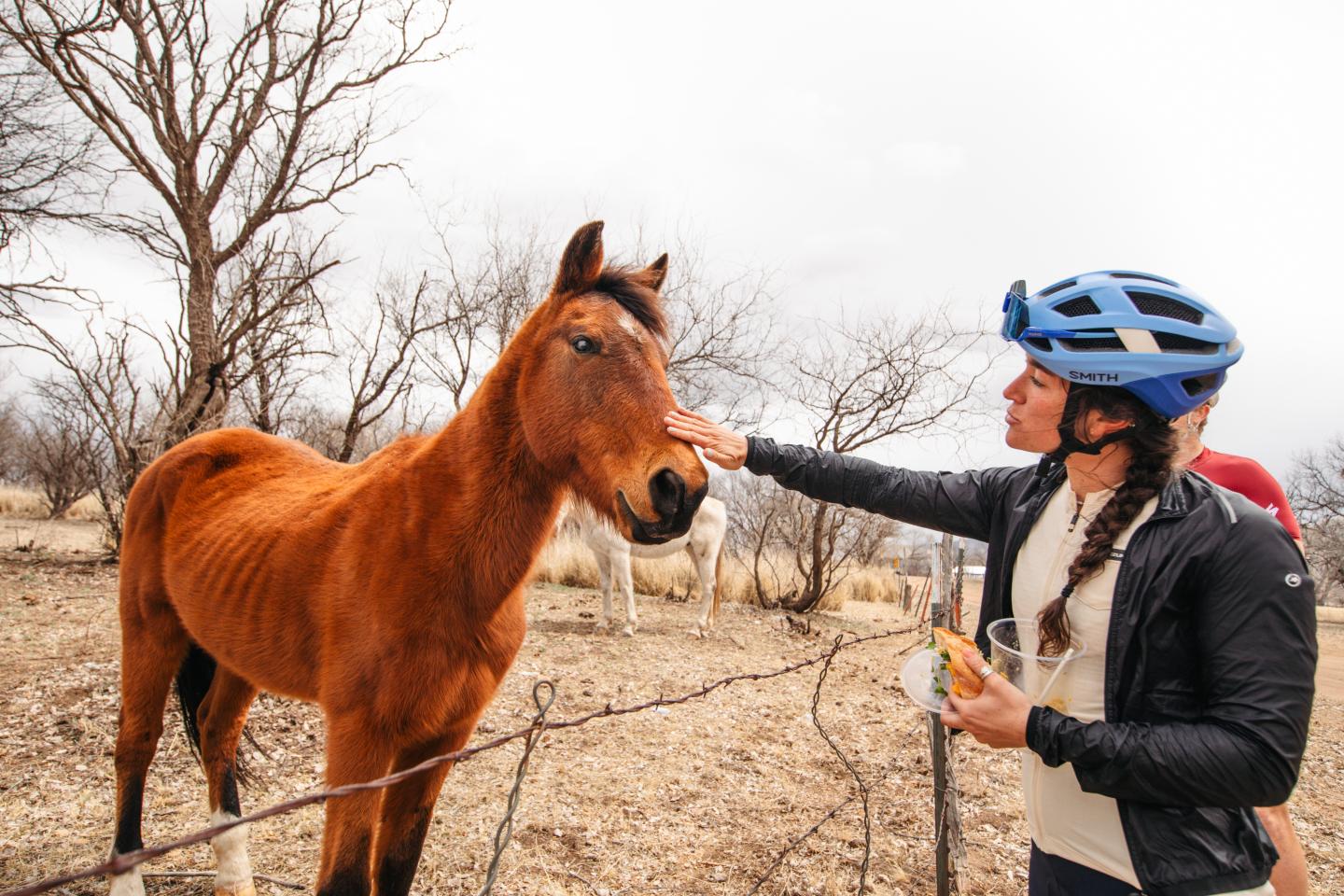cyclist petting a horse
