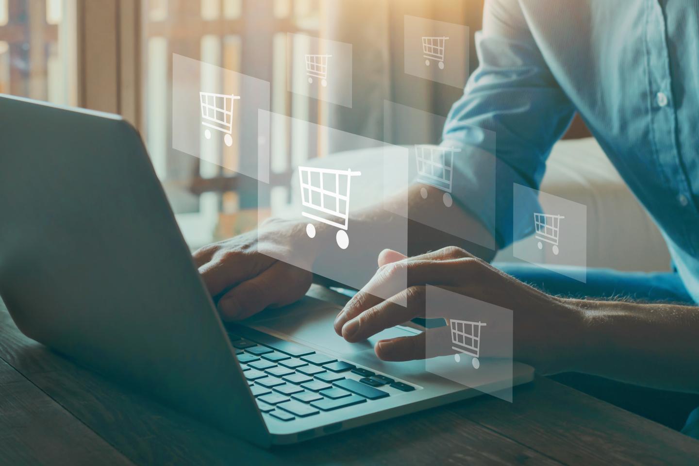 Person online shopping