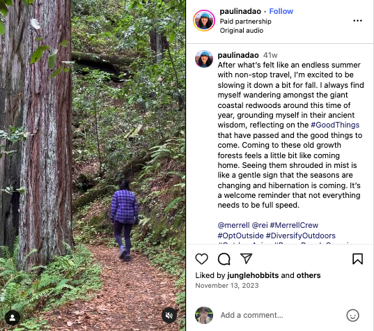 Instagram post screenshot