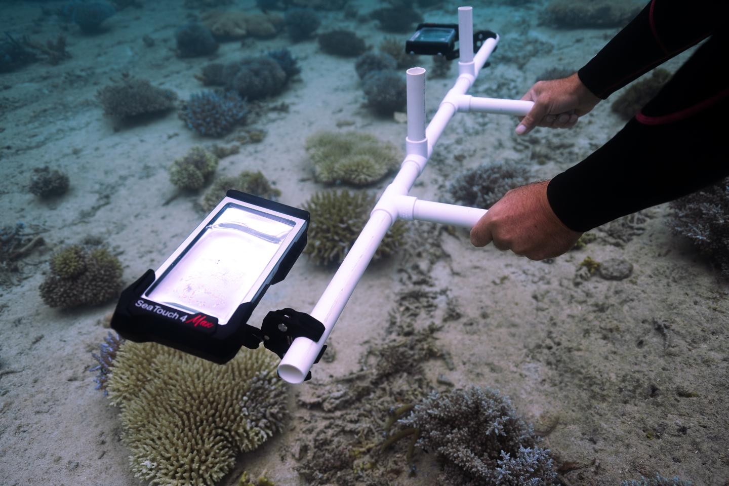 Person using a mobile phone underwater to capture imagery of coral reefs