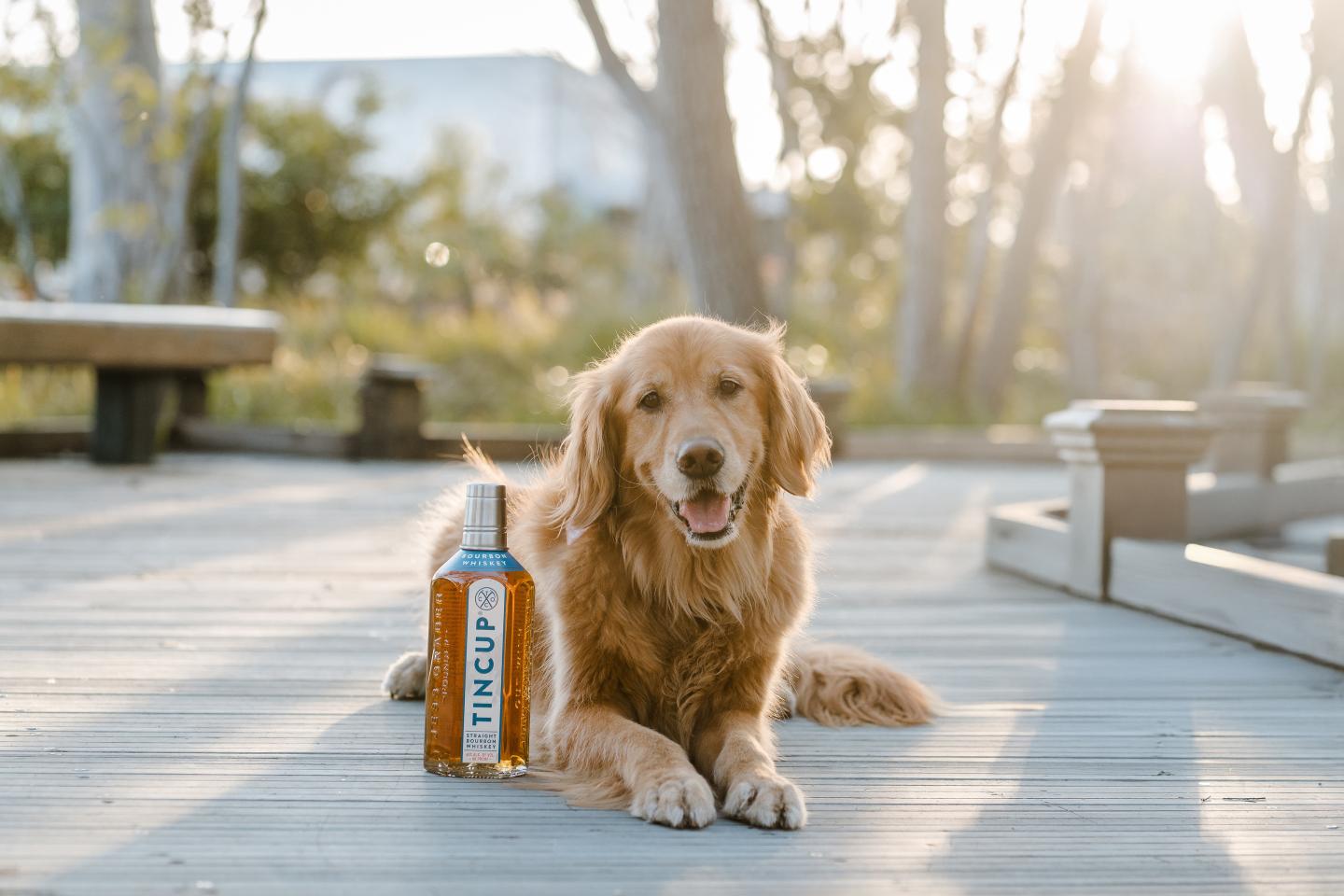 Golden retriever on a deck beside a whiskey bottle, sunny background.