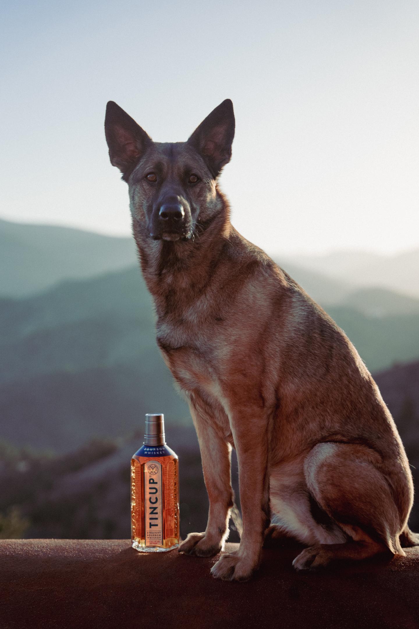 Dog sitting beside a bottle on a ledge, with mountains in the background.