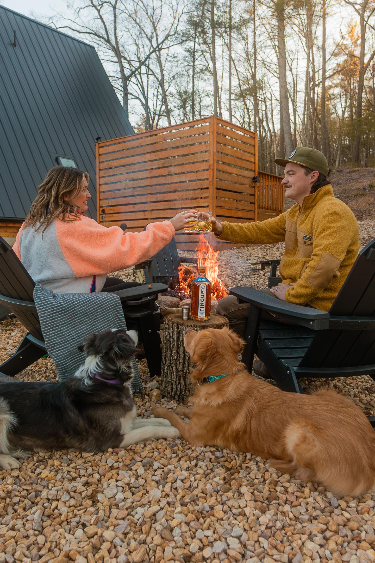 Two people toasting marshmallows by a campfire, with two dogs nearby.