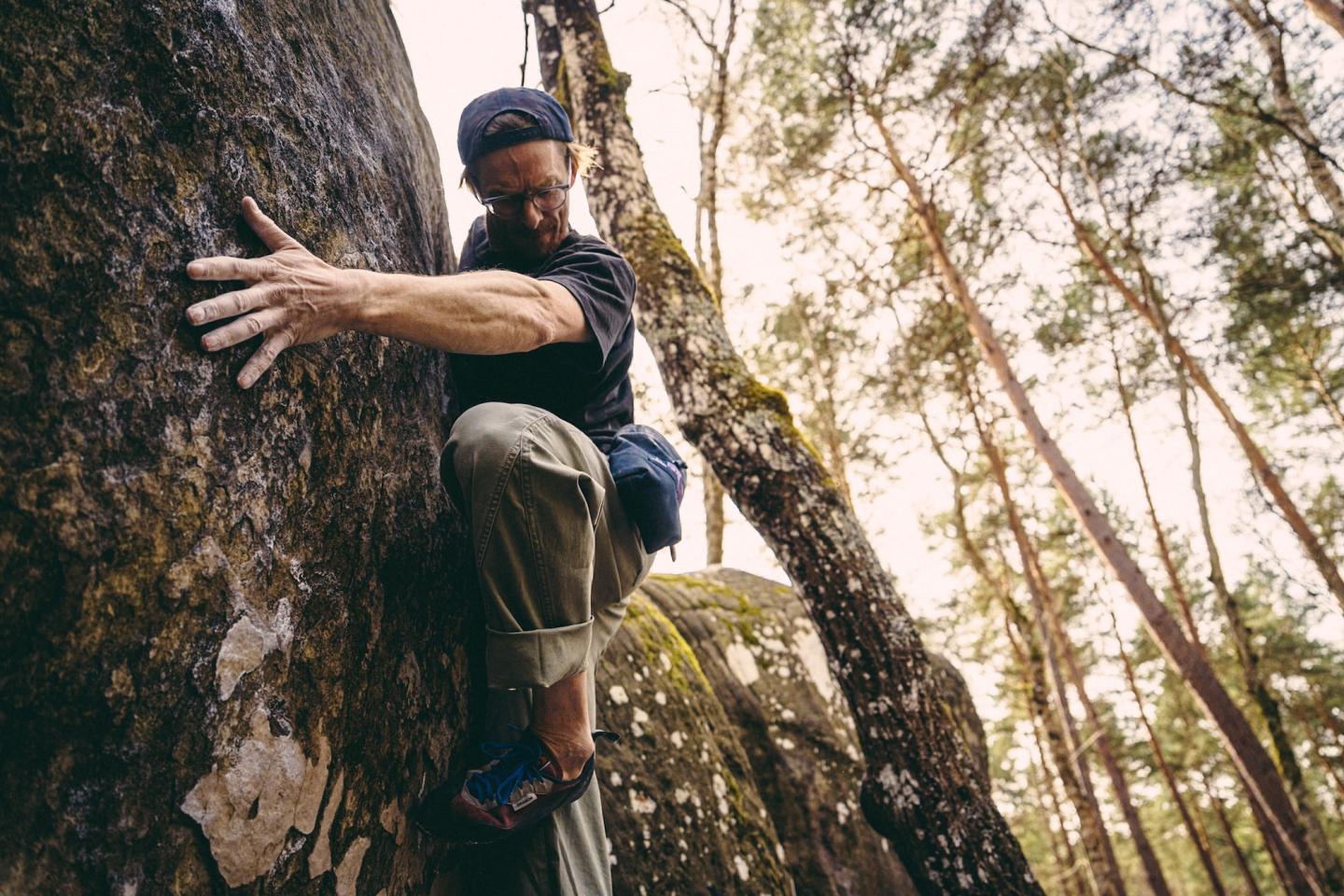 Man climbing a large tree trunk in a sunlit forest.