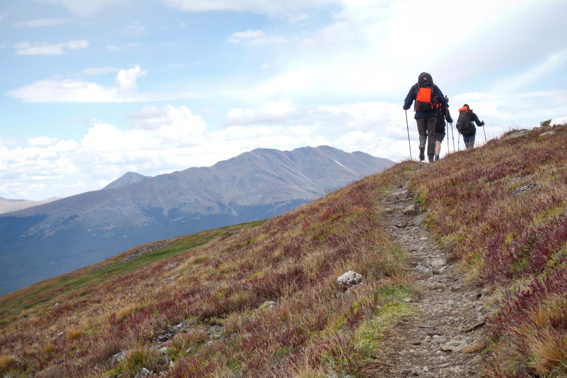 A group of people backpacking